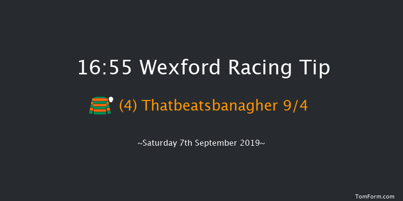 Wexford 16:55 Handicap Chase 16f Fri 5th Jul 2019