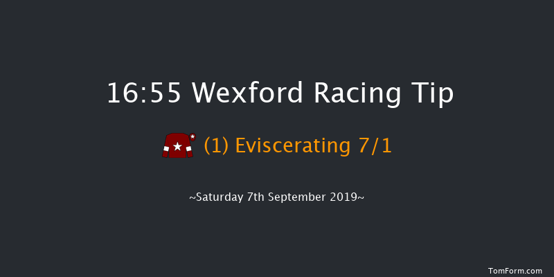Wexford 16:55 Handicap Chase 16f Fri 5th Jul 2019