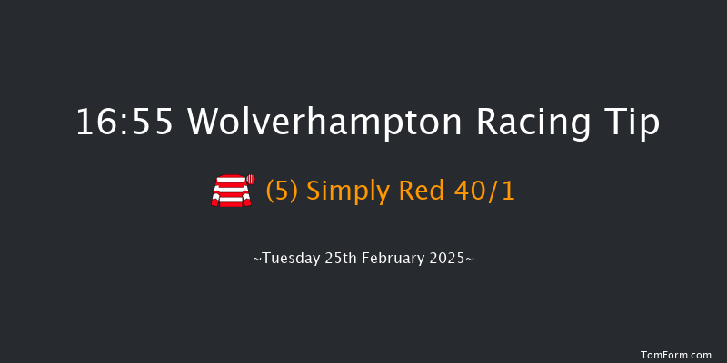 Wolverhampton  16:55 Handicap (Class 6) 10f Mon 24th Feb 2025