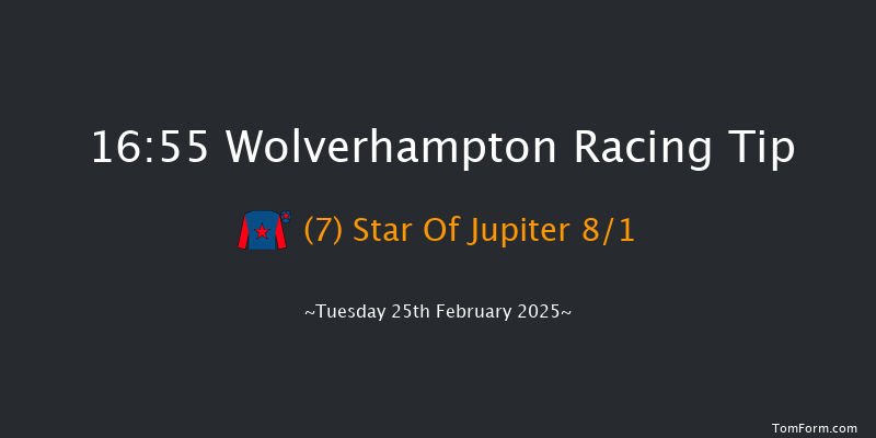 Wolverhampton  16:55 Handicap (Class 6) 10f Mon 24th Feb 2025