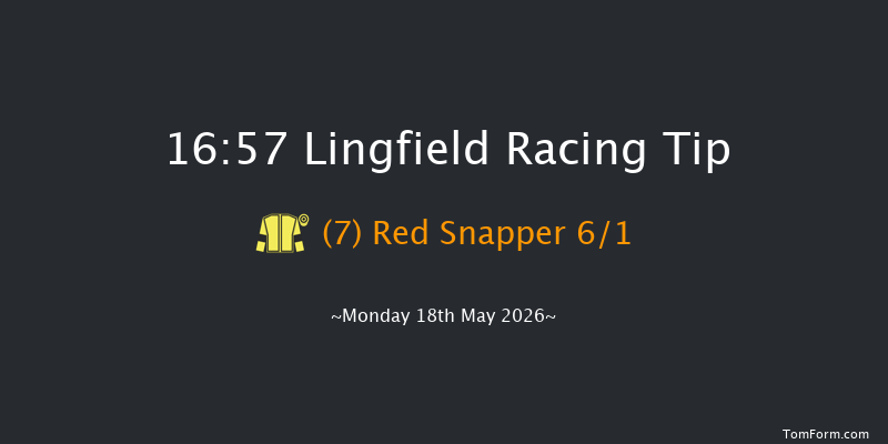 Lingfield 16-57 (Class 5) 4f Tue 12th May 2026