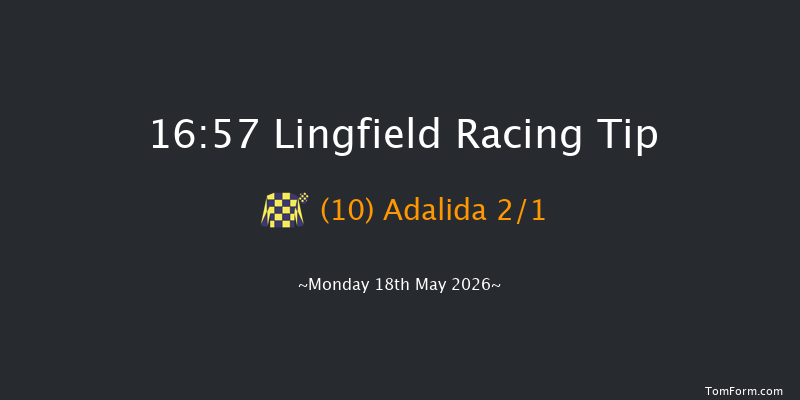 Lingfield 16-57 (Class 5) 4f Tue 12th May 2026