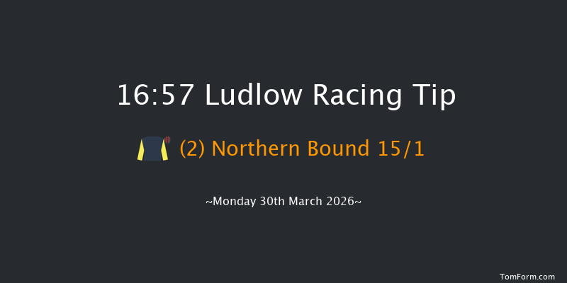 Ludlow 16-57 (Class 4) 20f Thu 19th Mar 2026