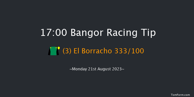 Bangor 17:00 Handicap Chase (Class 3) 17f Fri 4th Aug 2023