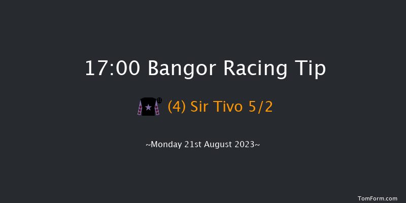 Bangor 17:00 Handicap Chase (Class 3) 17f Fri 4th Aug 2023