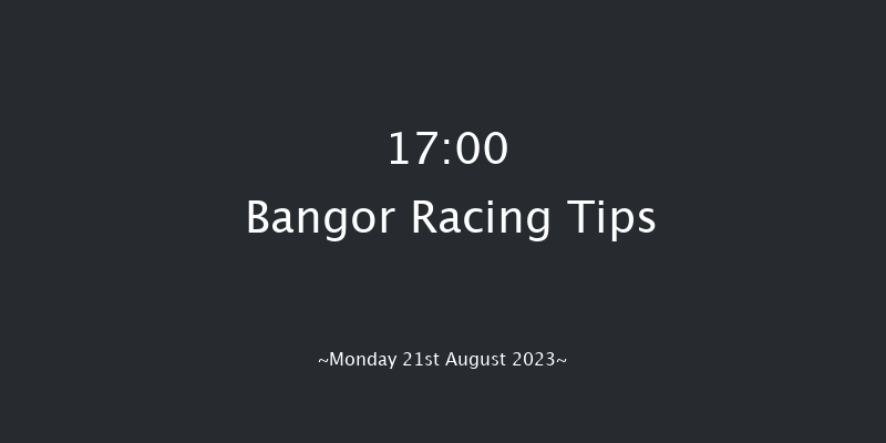 Bangor 17:00 Handicap Chase (Class 3) 17f Fri 4th Aug 2023