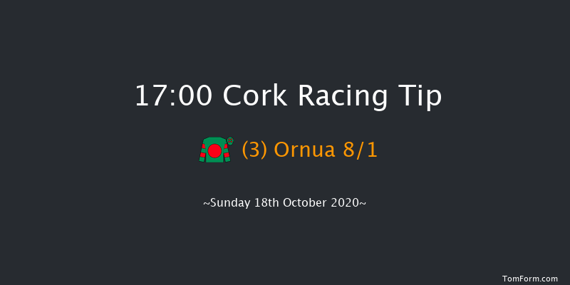 coopsuperstores.ie Handicap Chase (Grade B) Cork 17:00 Handicap Chase 18f Tue 13th Oct 2020