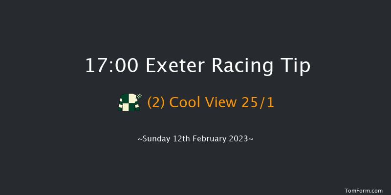 Exeter 17:00 NH Flat Race (Class 5) 17f Wed 1st Feb 2023