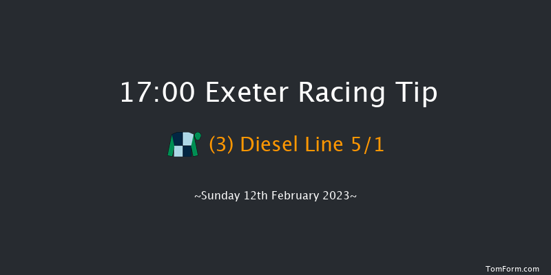 Exeter 17:00 NH Flat Race (Class 5) 17f Wed 1st Feb 2023