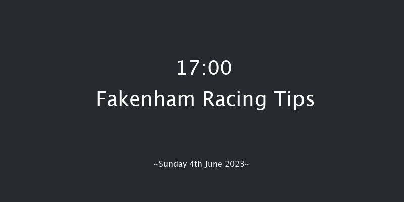 Fakenham 17:00 Handicap Hurdle (Class 4) 16f Tue 9th May 2023