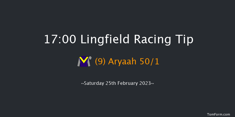 Lingfield 17:00 Handicap (Class 5) 10f Fri 24th Feb 2023