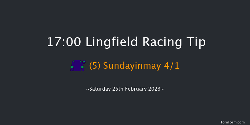 Lingfield 17:00 Handicap (Class 5) 10f Fri 24th Feb 2023