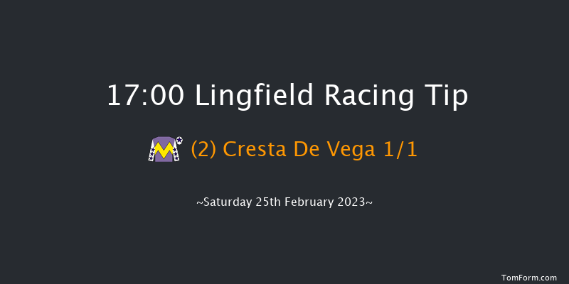 Lingfield 17:00 Handicap (Class 5) 10f Fri 24th Feb 2023