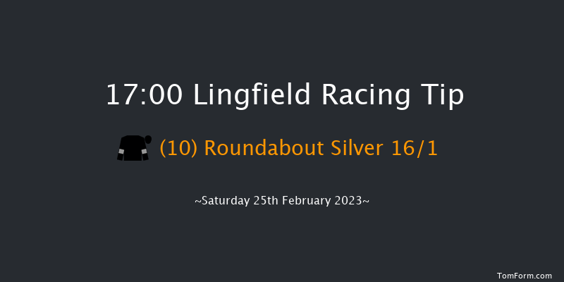 Lingfield 17:00 Handicap (Class 5) 10f Fri 24th Feb 2023