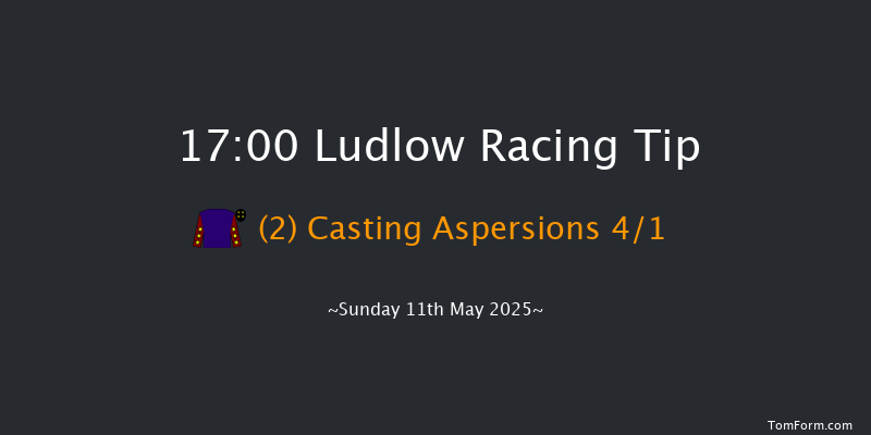 Ludlow 17-00 (Class 5) 23f Wed 23rd Apr 2025
