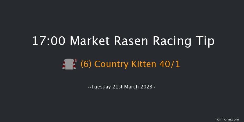 Market Rasen 17:00 Handicap Hurdle (Class 5) 23f Sun 12th Mar 2023