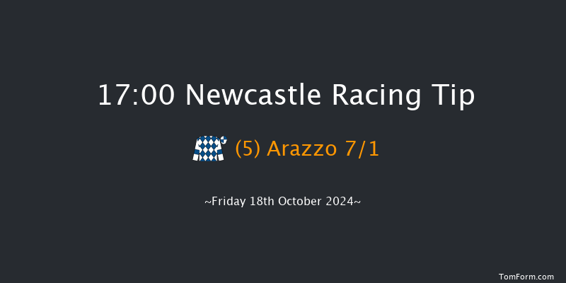 Newcastle  17:00 Handicap (Class 5) 12f Tue 15th Oct 2024