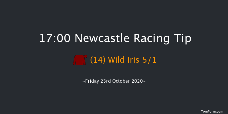Play Ladbrokes 5-A-Side On Football EBF Fillies' Novice Stakes (Plus 10/GBB Race) Newcastle 17:00 Stakes (Class 5) 7f Tue 20th Oct 2020