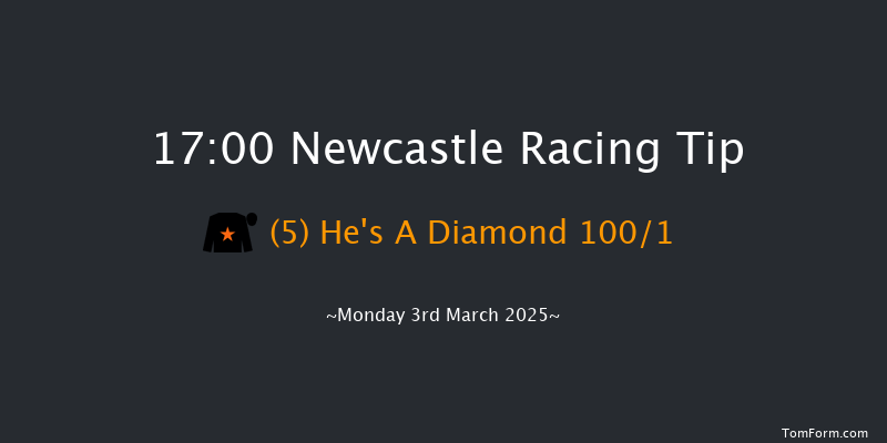 Newcastle  17:00 NH Flat Race (Class 5) 17f Sat 1st Mar 2025