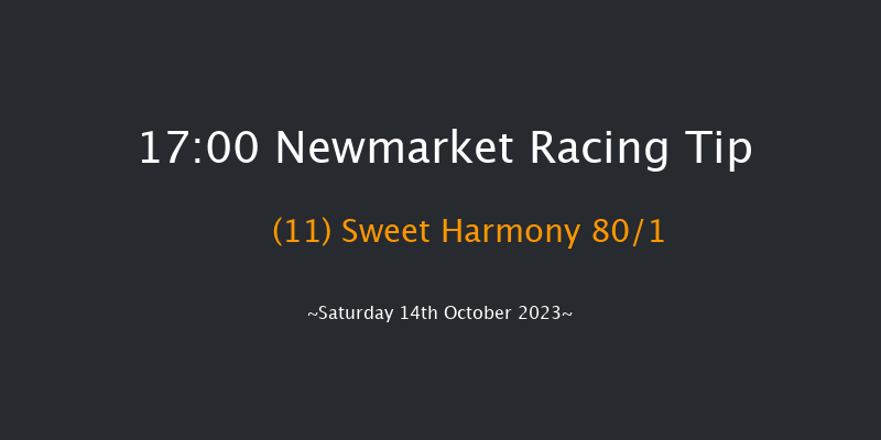 Newmarket 17:00 Listed (Class 1) 6f Fri 13th Oct 2023