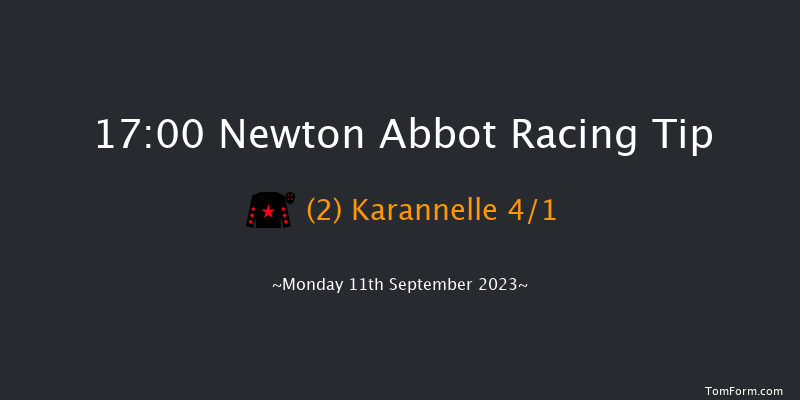 Newton Abbot 17:00 Handicap Hurdle (Class 5) 17f Sat 2nd Sep 2023