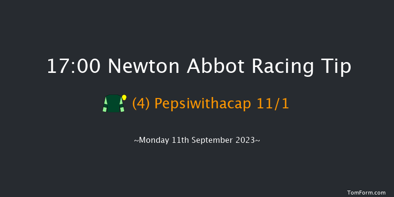 Newton Abbot 17:00 Handicap Hurdle (Class 5) 17f Sat 2nd Sep 2023