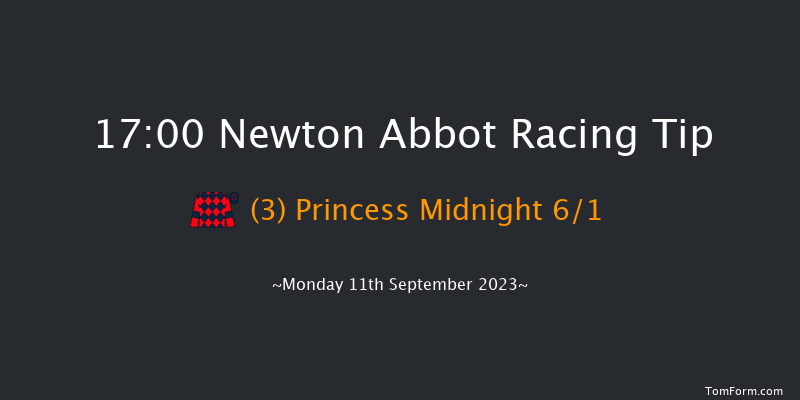 Newton Abbot 17:00 Handicap Hurdle (Class 5) 17f Sat 2nd Sep 2023