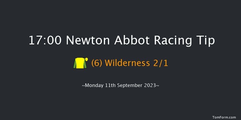 Newton Abbot 17:00 Handicap Hurdle (Class 5) 17f Sat 2nd Sep 2023