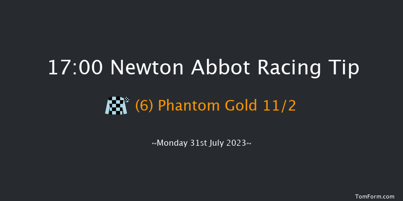 Newton Abbot 17:00 NH Flat Race (Class 5) 17f Sun 23rd Jul 2023