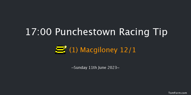 Punchestown 17:00 Handicap Hurdle 24f Sat 10th Jun 2023