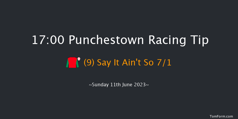 Punchestown 17:00 Handicap Hurdle 24f Sat 10th Jun 2023