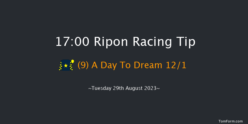 Ripon 17:00 Handicap (Class 6) 16f Mon 28th Aug 2023