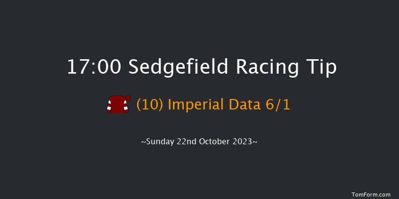 Sedgefield 17:00 Handicap Hurdle (Class 3) 20f Wed 11th Oct 2023