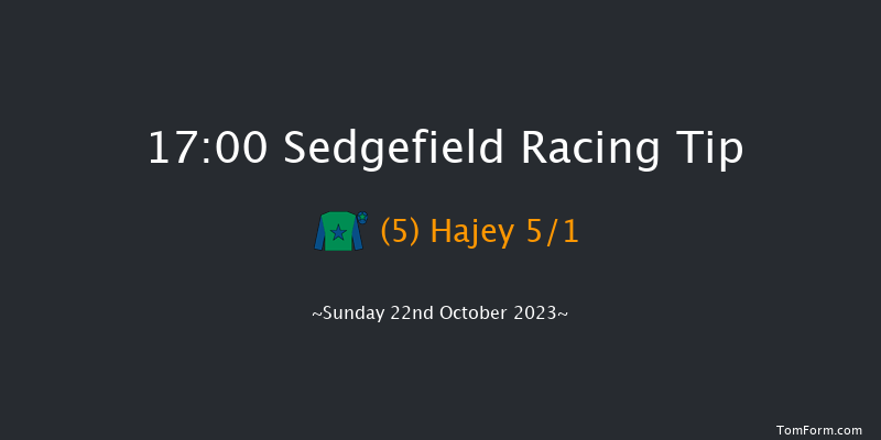 Sedgefield 17:00 Handicap Hurdle (Class 3) 20f Wed 11th Oct 2023