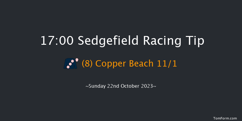 Sedgefield 17:00 Handicap Hurdle (Class 3) 20f Wed 11th Oct 2023