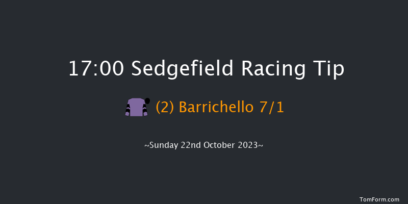 Sedgefield 17:00 Handicap Hurdle (Class 3) 20f Wed 11th Oct 2023