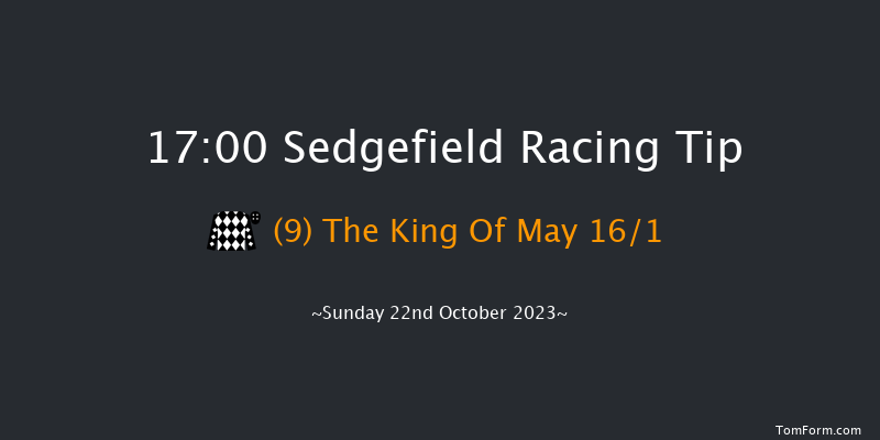 Sedgefield 17:00 Handicap Hurdle (Class 3) 20f Wed 11th Oct 2023