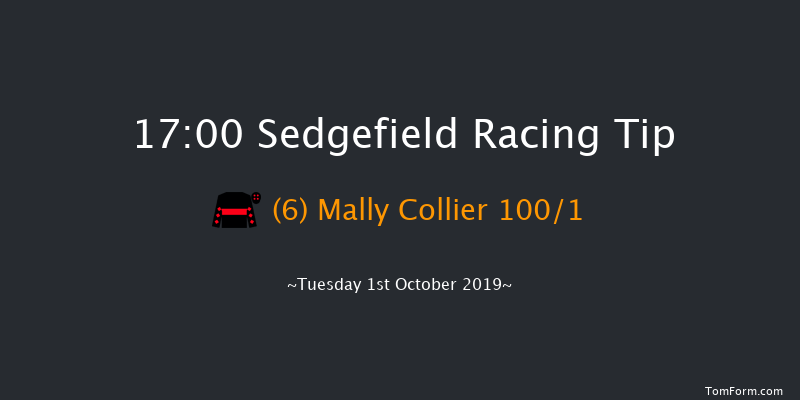 Sedgefield 17:00 NH Flat Race (Class 5) 17f Thu 5th Sep 2019
