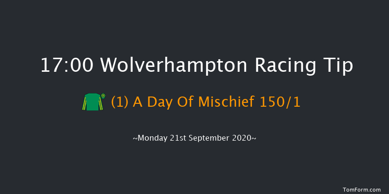 Black Country Chamber Of Commerce Maiden Fillies' Stakes (Plus 10/GBB Race) (Div 1) Wolverhampton 17:00 Maiden (Class 5) 6f Sat 19th Sep 2020