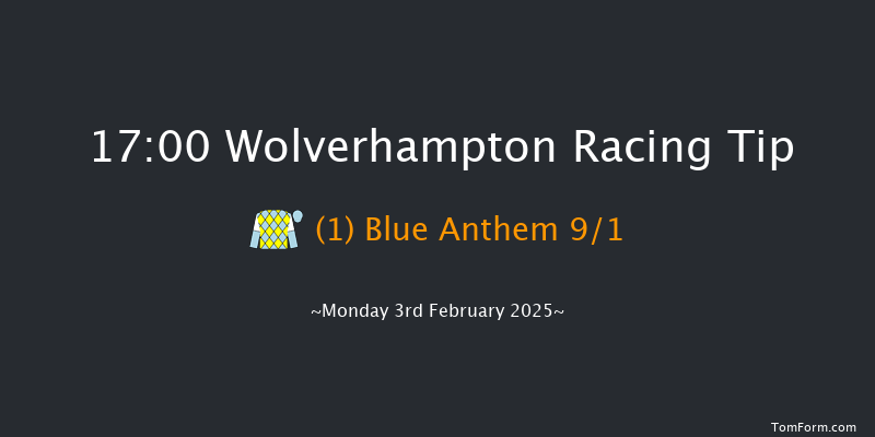 Wolverhampton  17:00 Handicap (Class 6) 7f Sat 1st Feb 2025