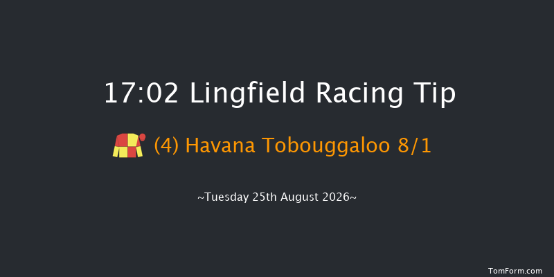 Lingfield 17-02 (Class 6) 10f Sat 22nd Aug 2026