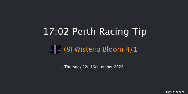 Perth 17:02 NH Flat Race (Class 5) 16f Wed 21st Sep 2022