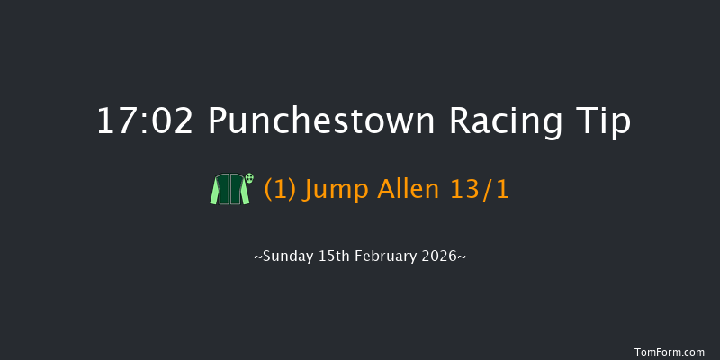 Punchestown 17-02 15f Wed 4th Feb 2026