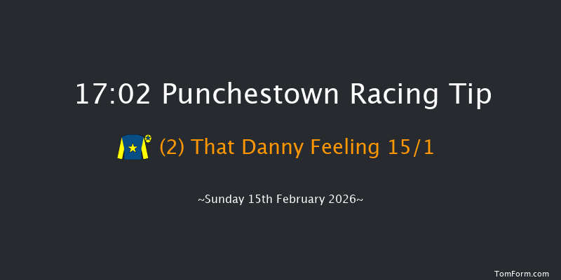 Punchestown 17-02 15f Wed 4th Feb 2026