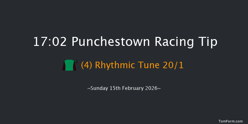 Punchestown 17-02 15f Wed 4th Feb 2026