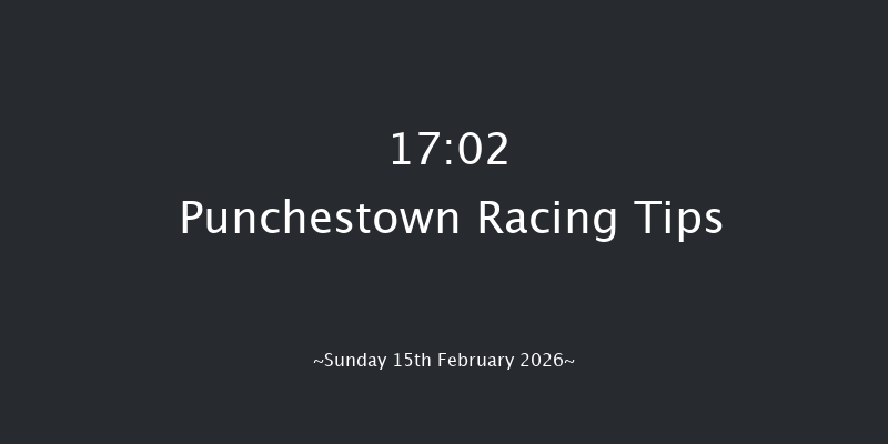 Punchestown 17-02 15f Wed 4th Feb 2026