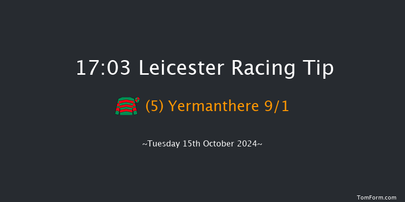 Leicester  17:03 Handicap (Class 3) 7f Tue 8th Oct 2024