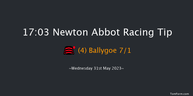 Newton Abbot 17:03 Handicap Hurdle (Class 5) 18f Wed 17th May 2023