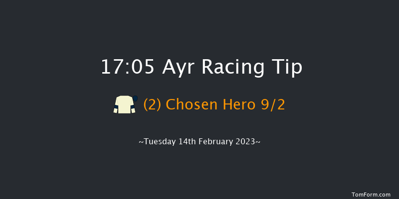 Ayr 17:05 NH Flat Race (Class 3) 16f Wed 1st Feb 2023