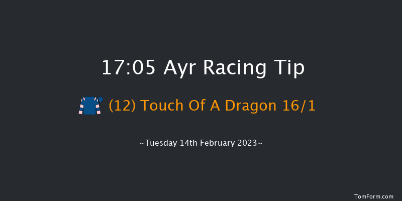 Ayr 17:05 NH Flat Race (Class 3) 16f Wed 1st Feb 2023
